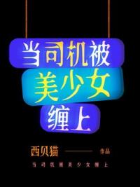 当司机被美少女缠上