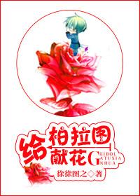 给柏拉图献花[娱乐圈]